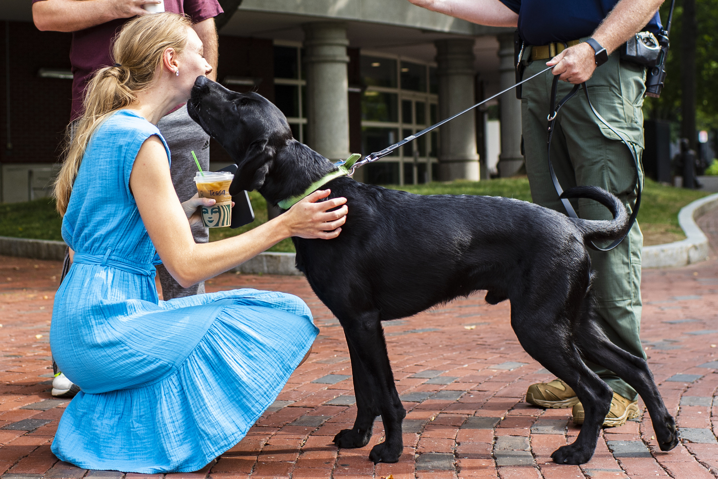 07/28/22- Boston, MA - Sarge, a 1-year old black lab and the newest member of Northeastern's pack, greets physicians assistant student Tessa Lilley in Centennial Common while on a walk with NUPD Officer Sgt. Joe Corbett on Thursday, July 28, 2022. Photo by Alyssa Stone/Northeastern University